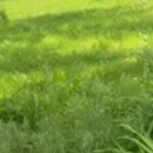 Meet your Posher, Josefa